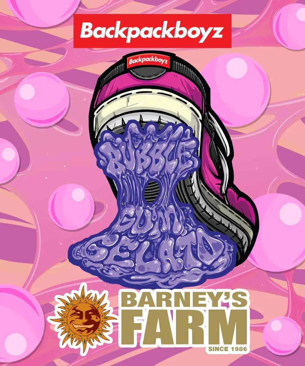 Bubblegum Gelato Strain 24% THC