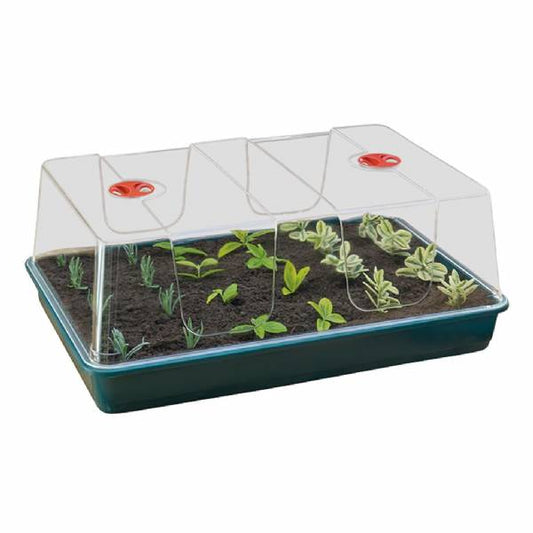 Garland High Dome Propagator