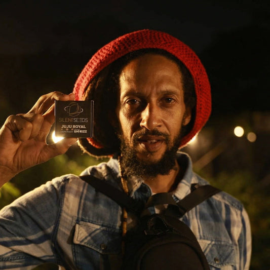 Jamaican Sunset Julian Marley