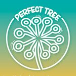 Perfect tree seeds
