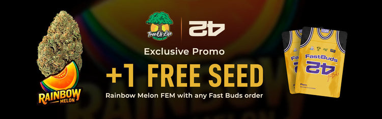 Fastbuds Autos