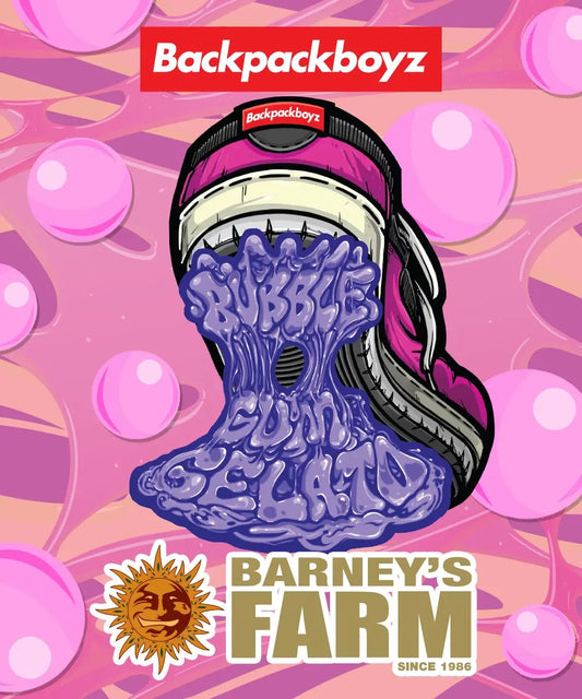 Bubblegum Gelato Strain 24% THC