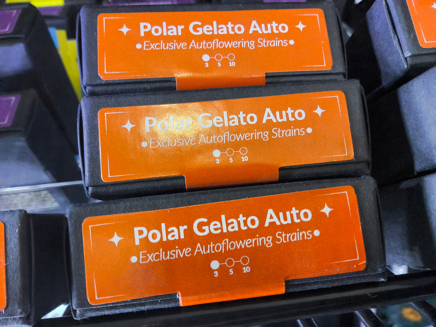 POLAR GELATO AUTO BY SHERBINSKIS
