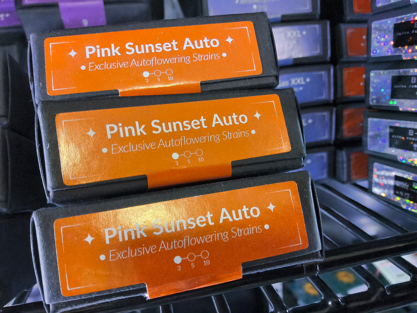 PINK SUNSET AUTO BY SHERBINSKIS