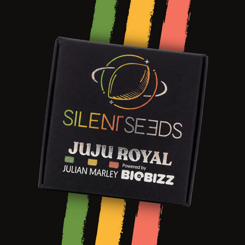 Julian Marley Seeds

Julian Marley Special