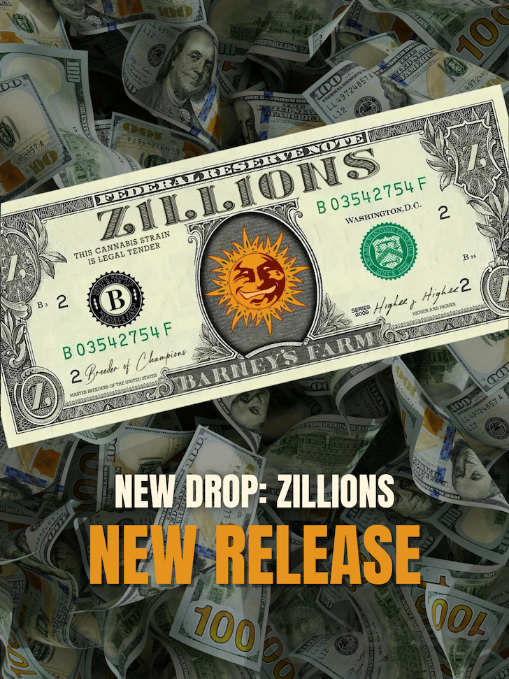 Zillions Strain