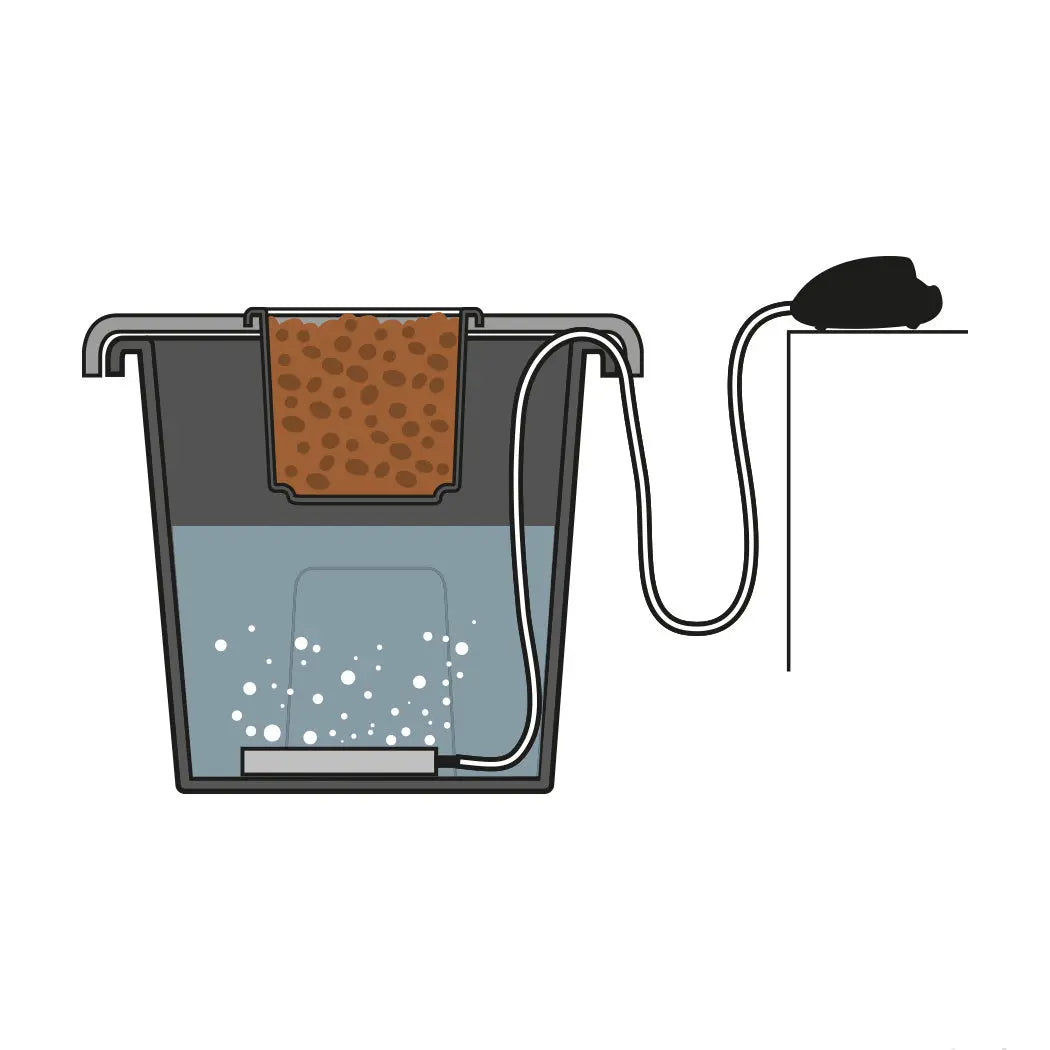 AEROS Pump bubbler system (hydroponic) PLANT!T