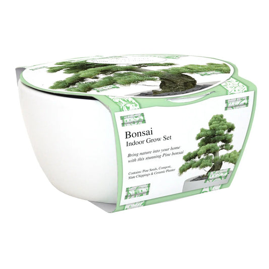 Bonsai Pine growing set Tree Of Life Growshop - Gozo
