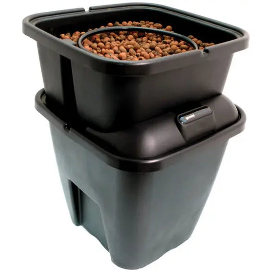 PLANT! T GEMINI Hydroponic system for 1 plant PLANT!T
